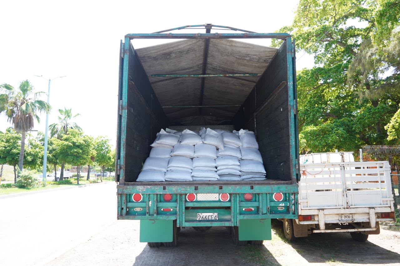 Entregan semillas de sorgo gavatero a productores de Mazatlán