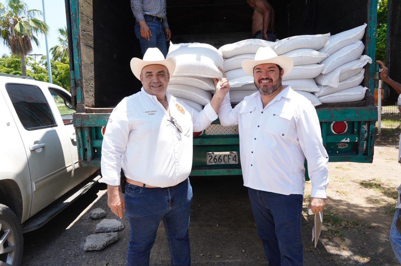 Entregan semillas de sorgo gavatero a productores de Mazatlán