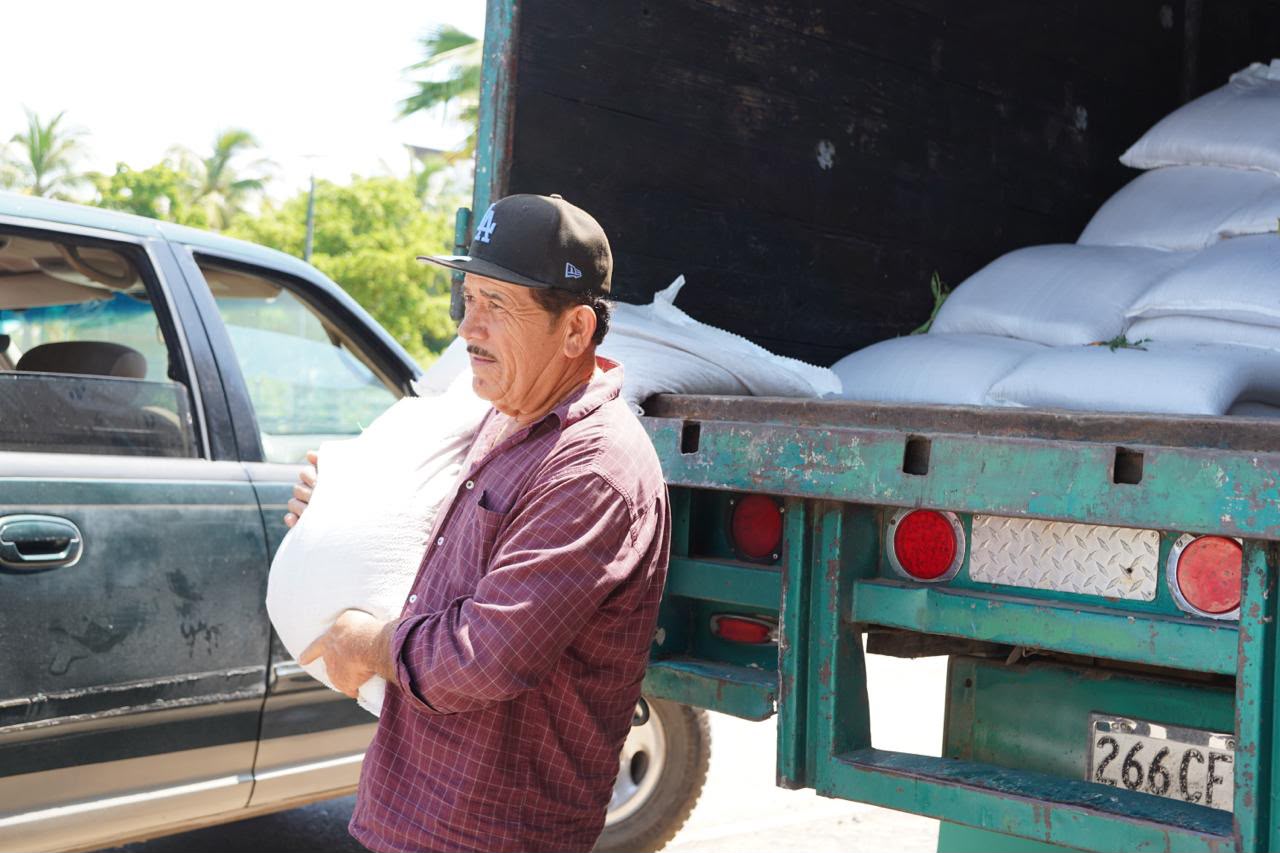 Entregan semillas de sorgo gavatero a productores de Mazatlán