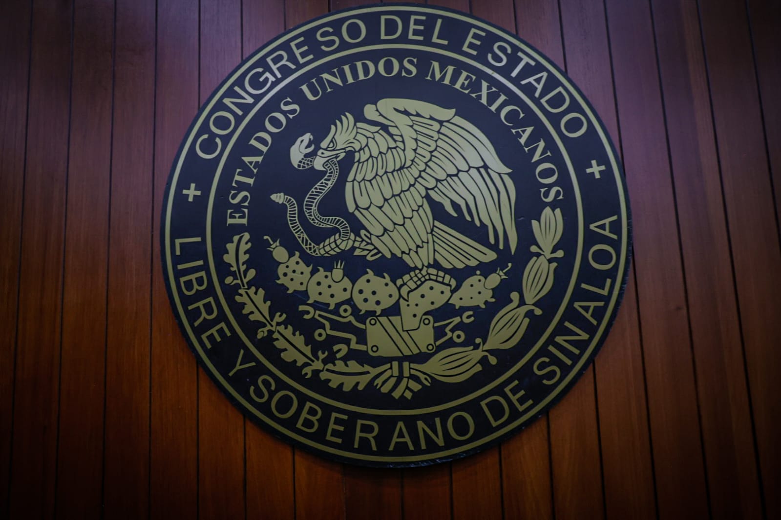 Escudo en el Congreso