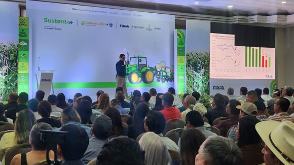 FIRA apuesta a financiar mayor superficie de siembra de maíz en Sinaloa; lanza programa a la medida de productores