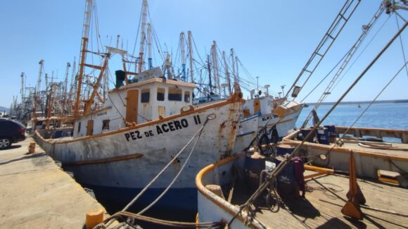 Renta por muelle, otra situación que enfrenta la flota camaronera en Mazatlán, Sinaloa; hasta 100 mil pesos unos casos
