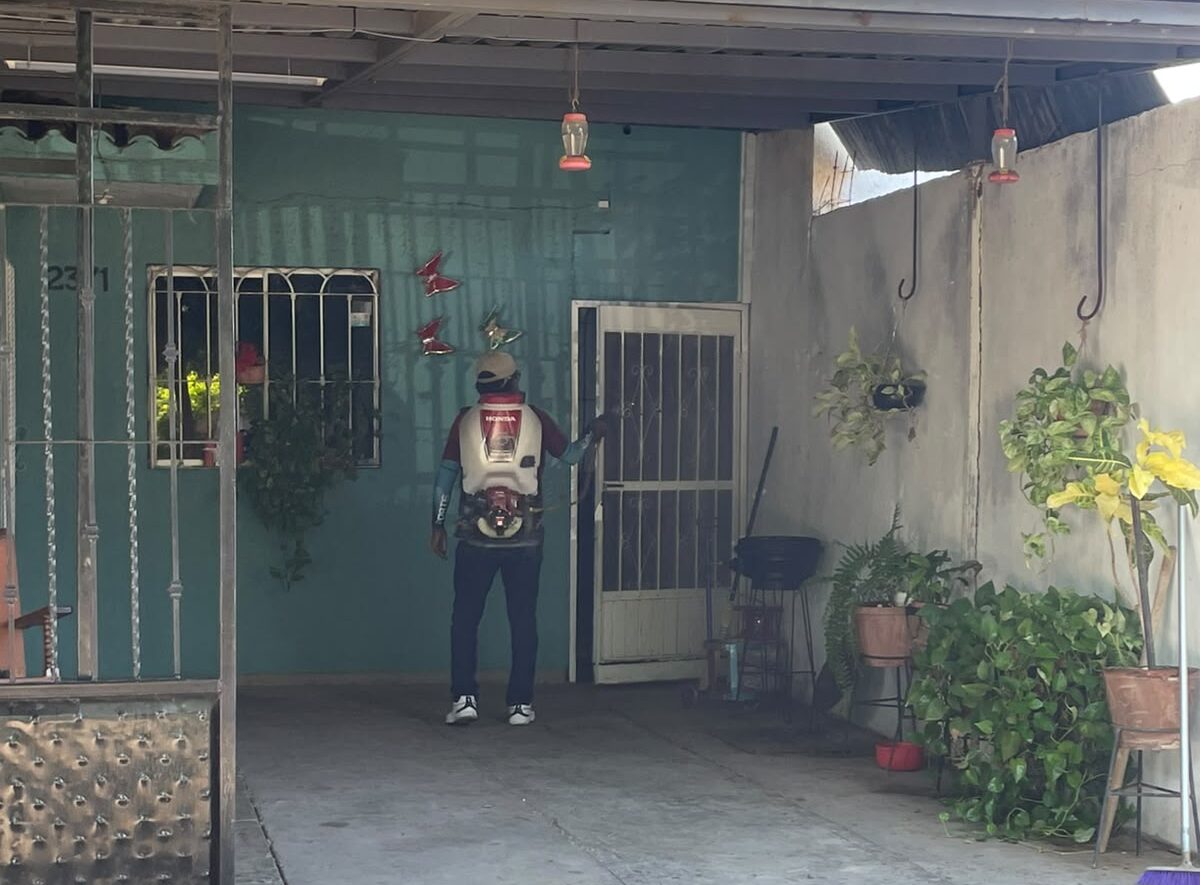 Fumigan en Los Cedros de Los Mochis