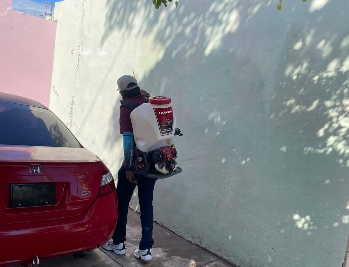 Fumigan en Los Cedros de Los Mochis