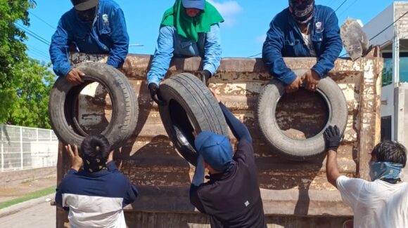 ¡Abran puertas y ventanas!; intensifica Ayuntamiento de Ahome fumigaciones contra el mosco del dengue, chikungunya y zika