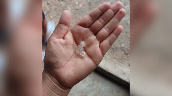 ¡Cayó granizo en Guasave! La lluvia sorprendió a habitantes con bolitas de hielo