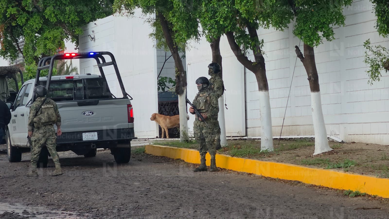 Encuentran ejecutada a la celadora que fue 'levantada' en el Piggy Back de Culiacán