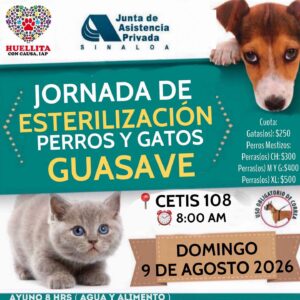 Huellita con Causa IAP anuncia jornada de esterilización en Guasave
