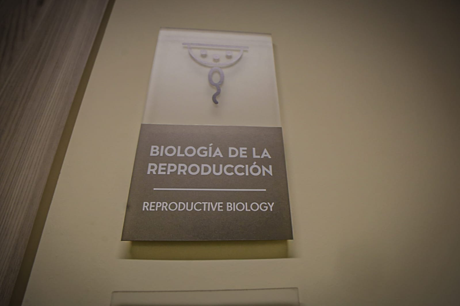 Inauguración de Embryogen Sinaloa, centro de fertilidad