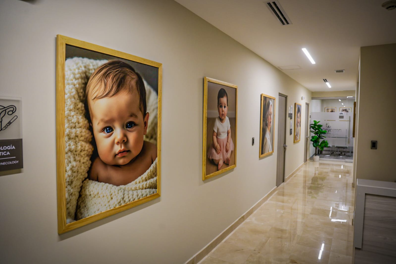 Inauguración de Embryogen Sinaloa, centro de fertilidad