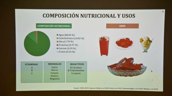 Contra la diabetes y colesterol; Investigadora de la UAS presenta proyecto sobre harina de lenteja fermentada