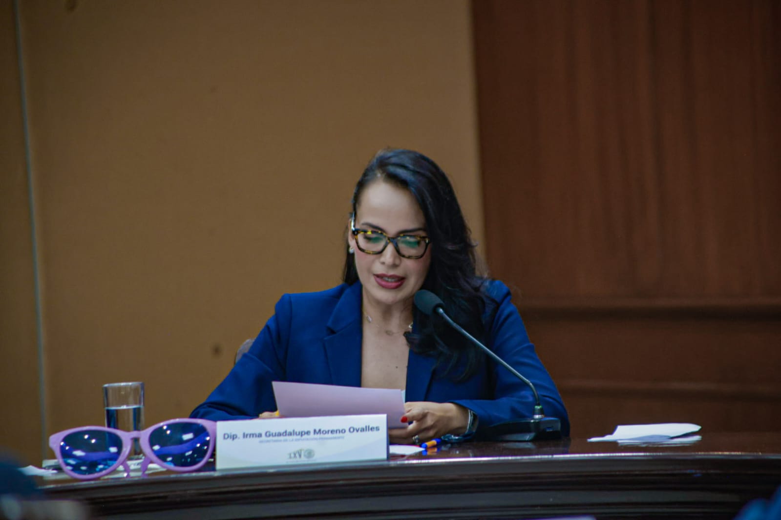 Diputada priista Irma Guadalupe Moreno Ovalles