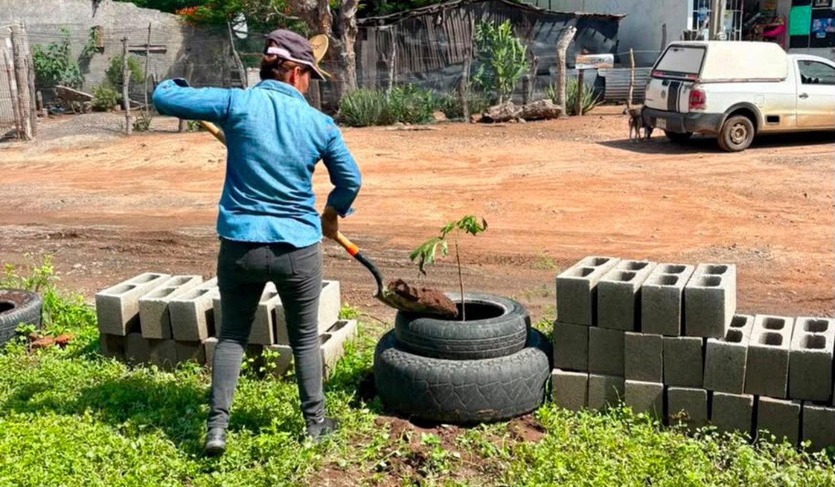 Jornada de "Mazatlán Te Quiero Limpio" en Palmillas