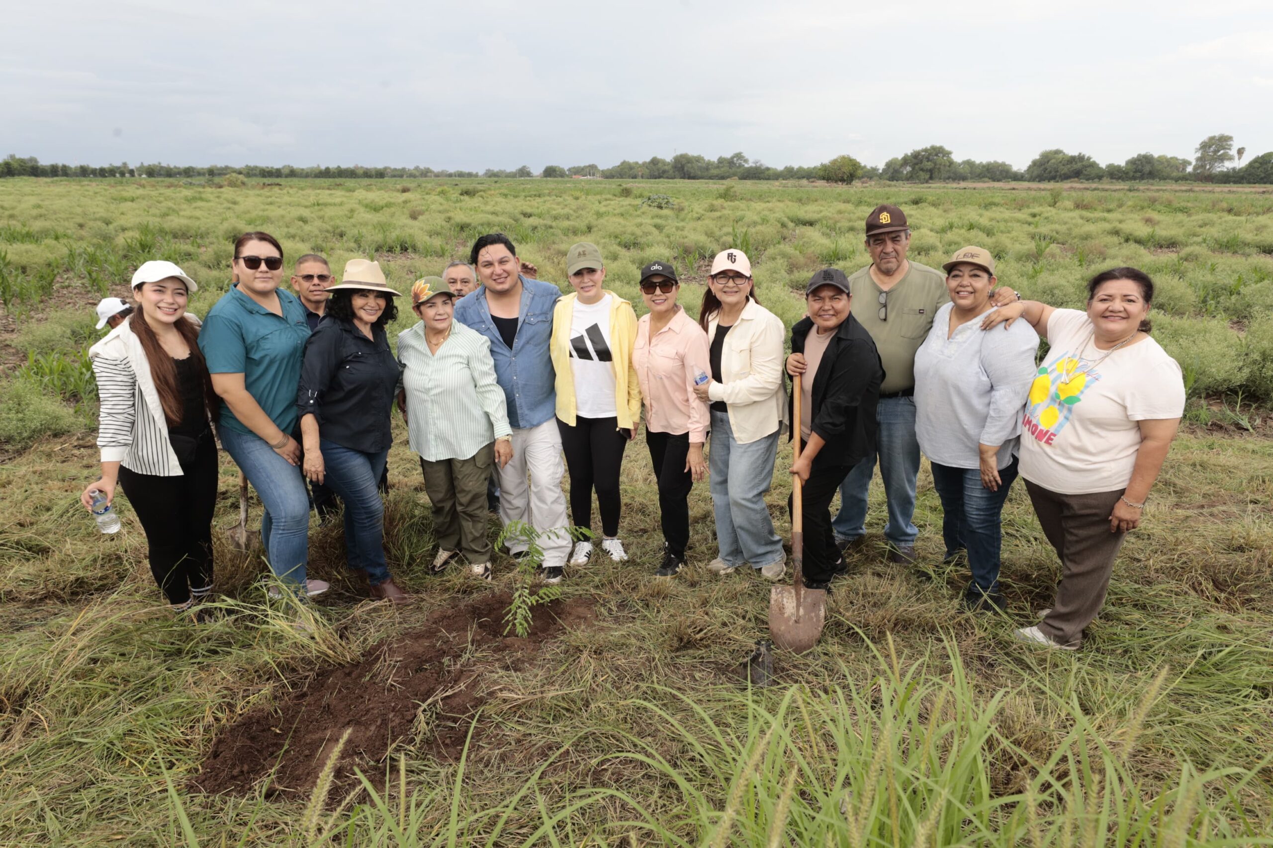 Guasave se suma a Jornada Nacional de Reforestación