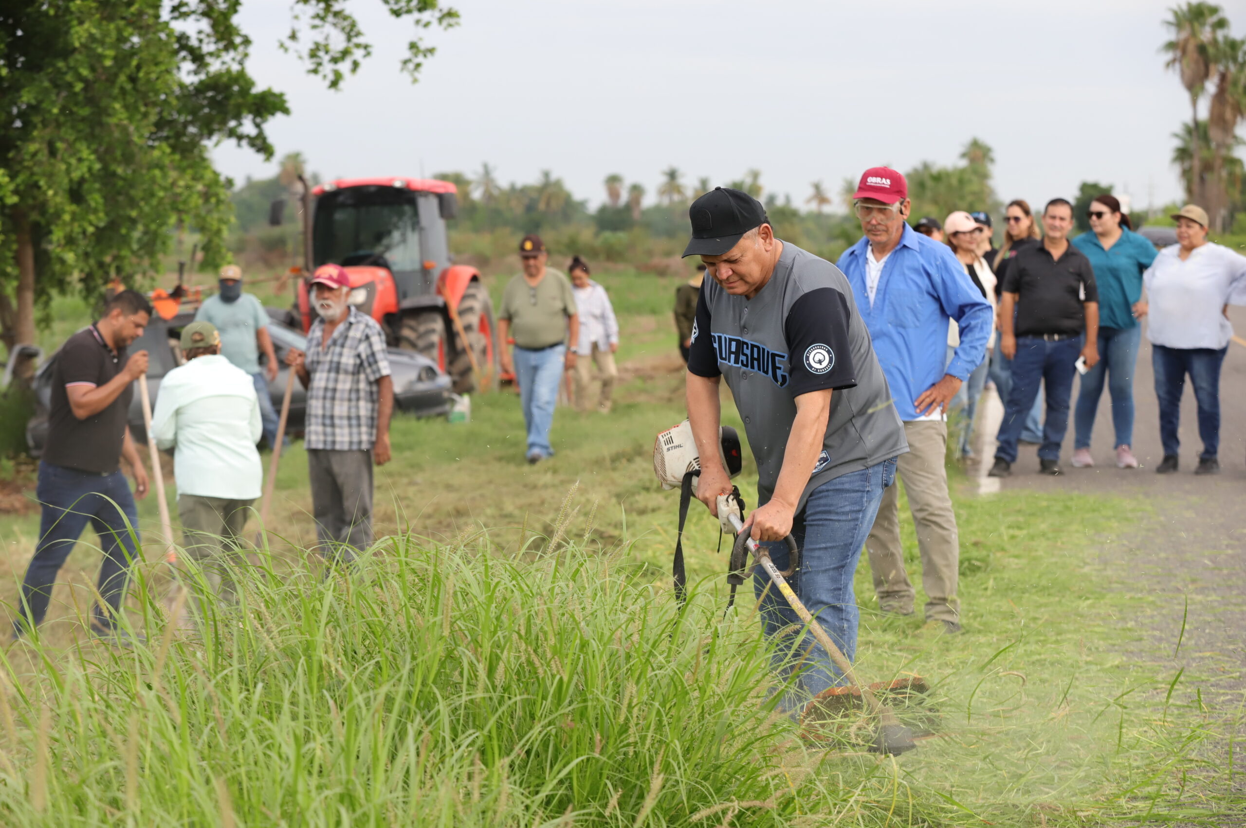 Guasave se suma a Jornada Nacional de Reforestación