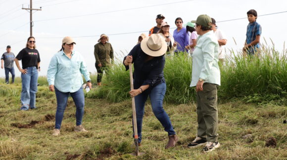 Guasave se suma a Jornada Nacional de Reforestación con 30 mil plantas disponibles