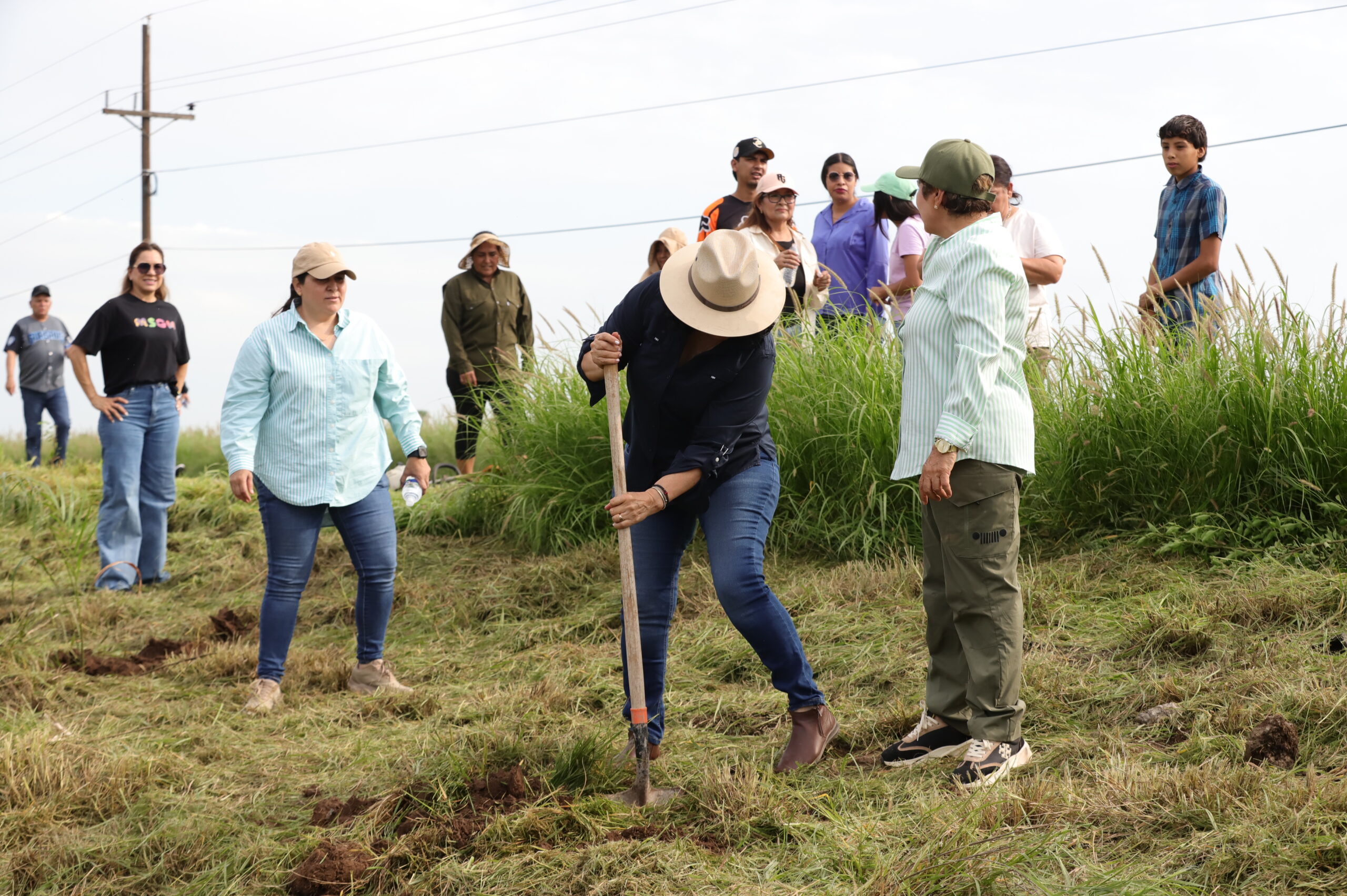 Guasave se suma a Jornada Nacional de Reforestación