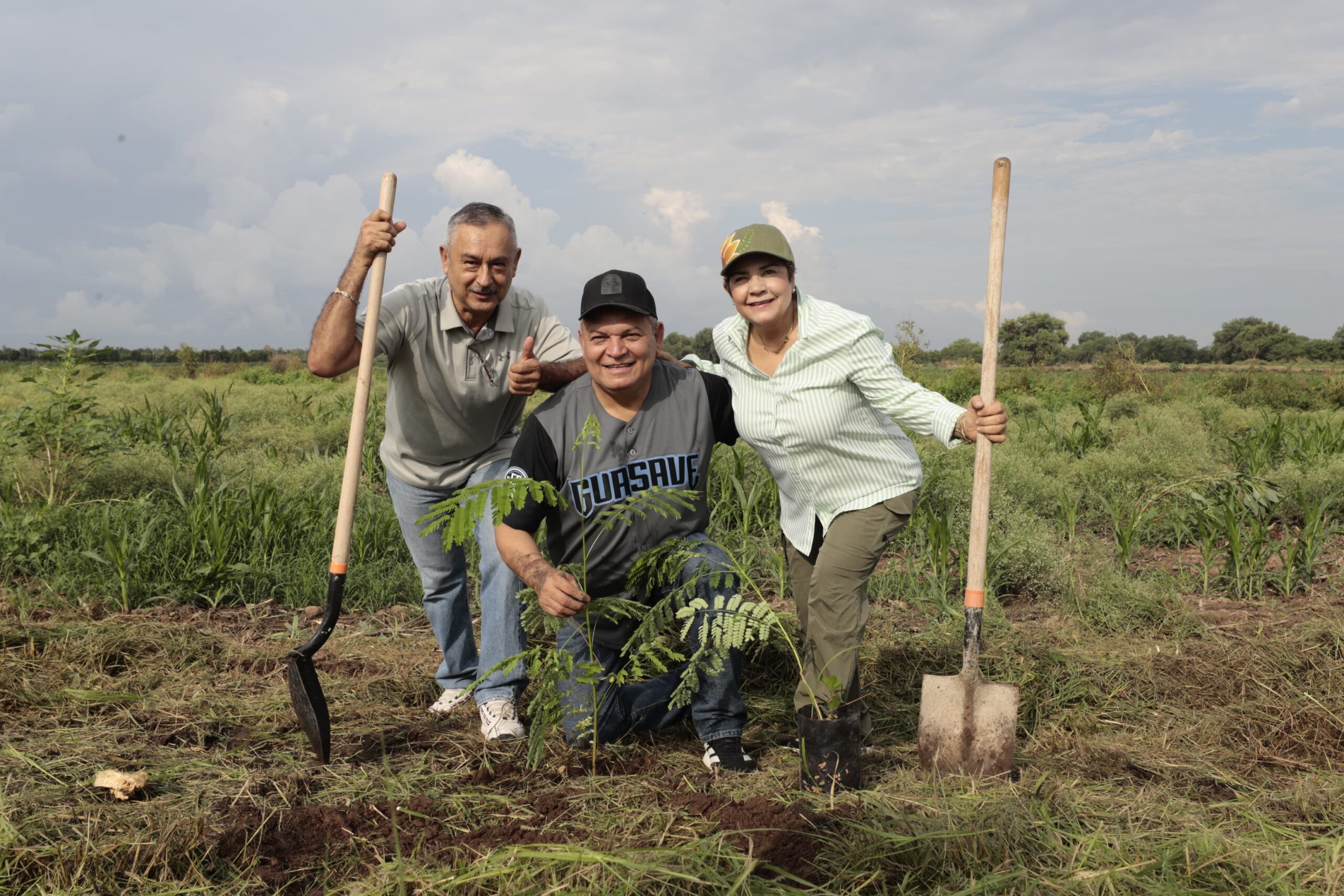 Guasave se suma a Jornada Nacional de Reforestación