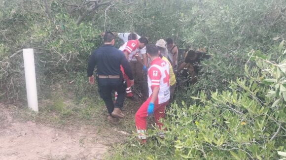 Hombre resulta lesionado tras ser atacado por abejas en un canal de Guasave, Sinaloa