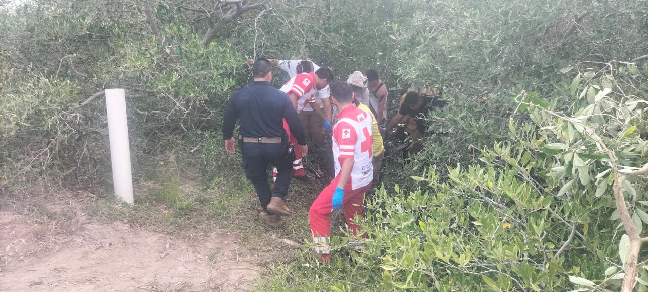 Hombre resulta lesionado tras ataque de abejas