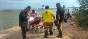 Hombre resulta lesionado tras ataque de abejas