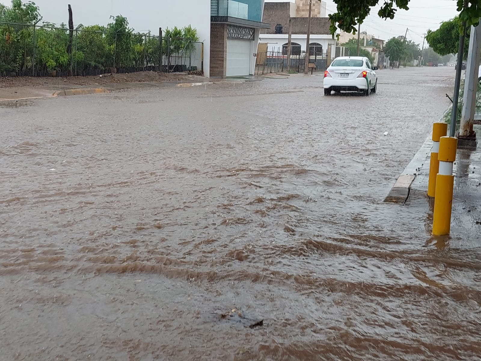 Lluvia en Guamúchil