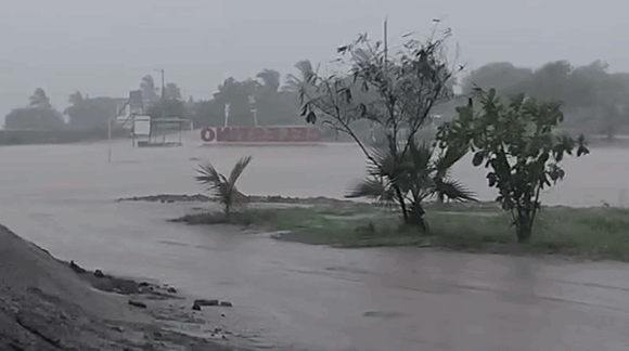 Temporaleros de Elota agradecen la lluvia más fuerte de lo que va de la temporada: ayudará a dar punto a la tierra
