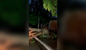 Lluvia en la comunidad Genaro Estrada, Sinaloa