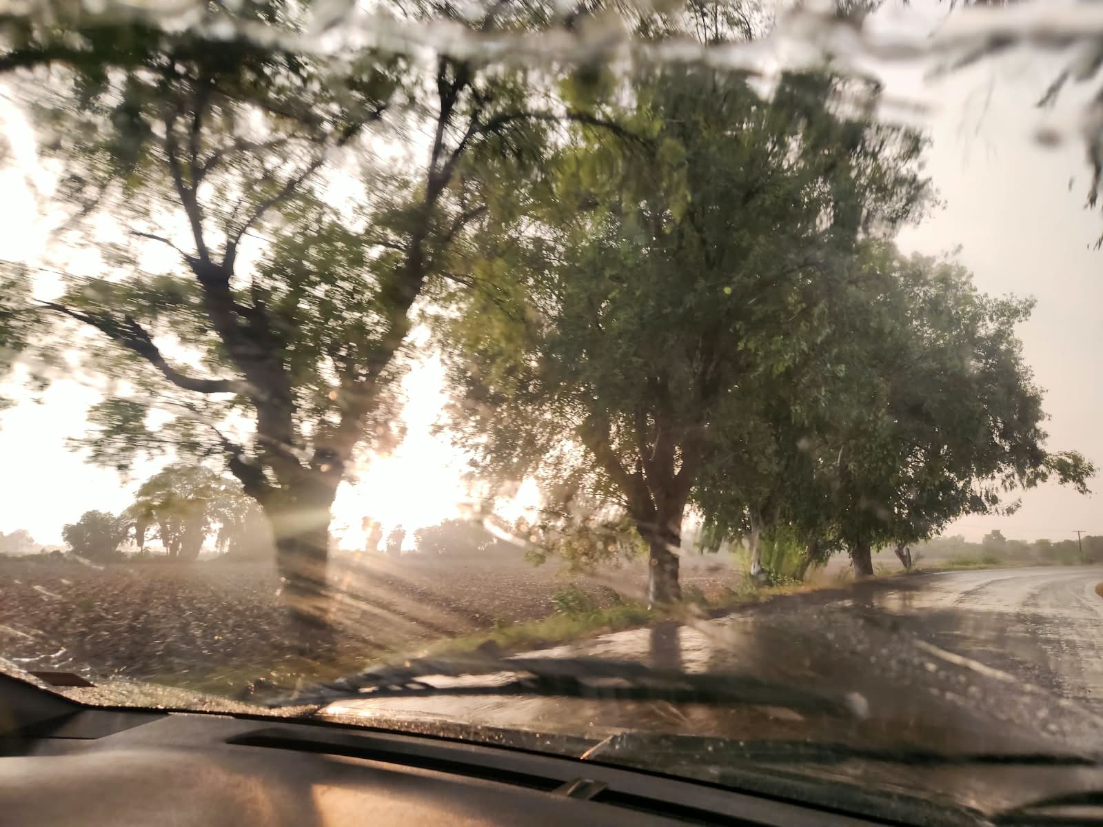 Lluvia en Guasave, Sinaloa