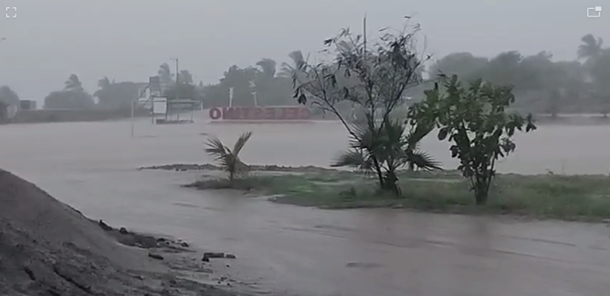 Lluvia Elota