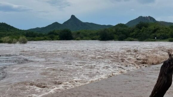 Lluvias incrementan el caudal del arroyo San Benito, en Mocorito, Sinaloa; el agua alcanza el puente de concreto