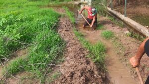 lluvias dejan daños en la primaria leona vicario de las americas guasave sinaloa