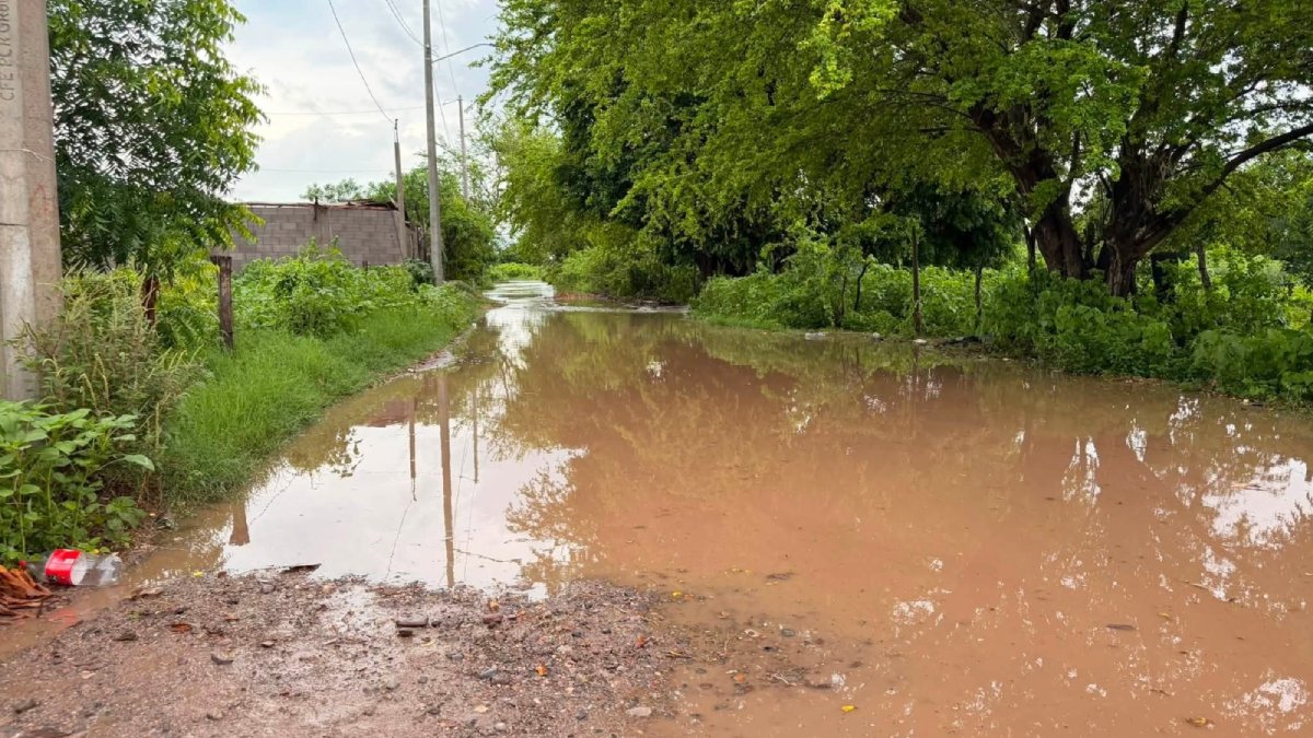 lluvias golpean elota sinaloa calle
