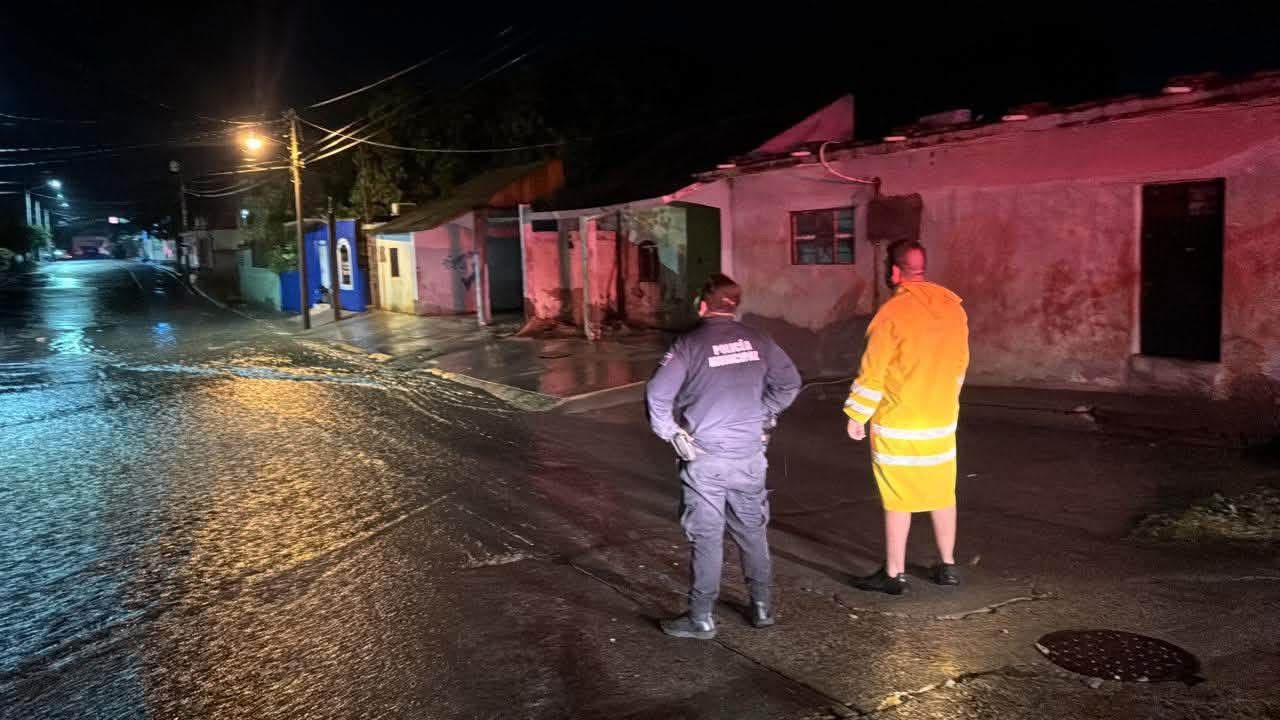 Lluvias y viento dejan árboles, espectaculares y cableado caído en La Cruz, Elota