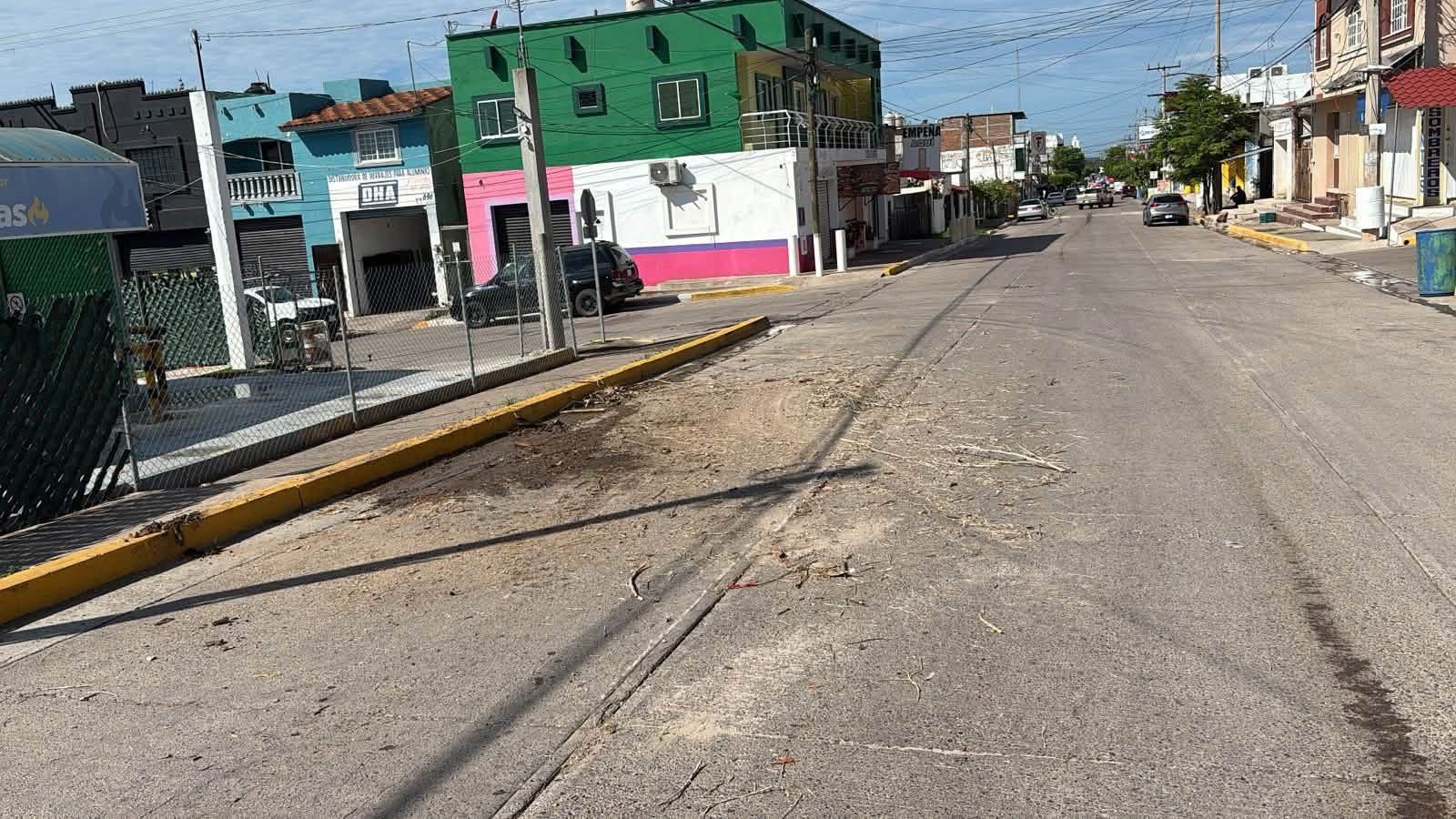 Lluvias y viento dejan árboles, espectaculares y cableado caído en La Cruz, Elota