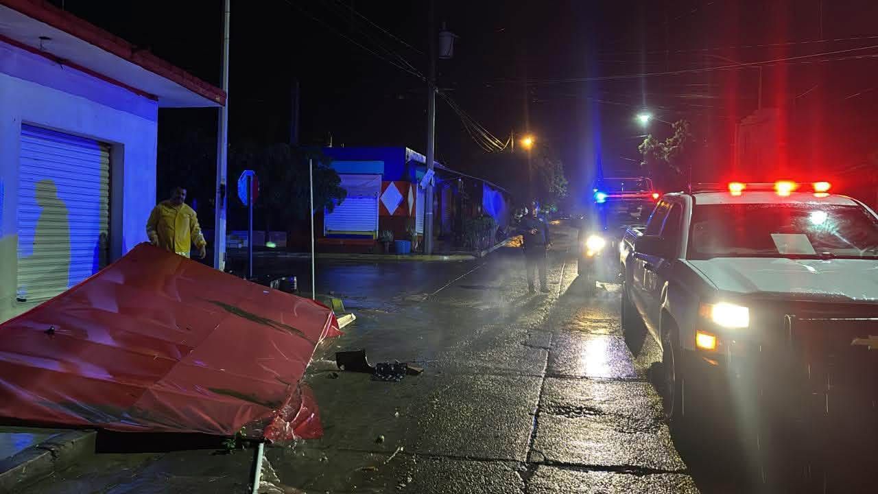 Lluvias y viento dejan árboles, espectaculares y cableado caído en La Cruz, Elota