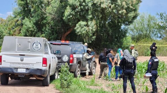 Localizan restos humanos cerca de unas tierra de cultivo en Navolato, Sinaloa