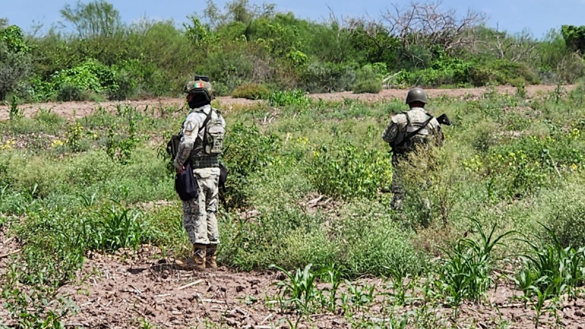 localizan restos humanos cerca de unas tierra de cultivo en navolato militar