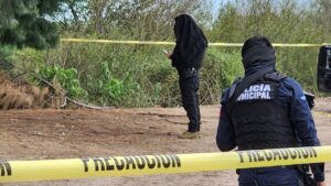 localizan restos humanos cerca de unas tierra de cultivo en navolato municipal