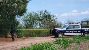 localizan restos humanos cerca de unas tierra de cultivo en navolato policia