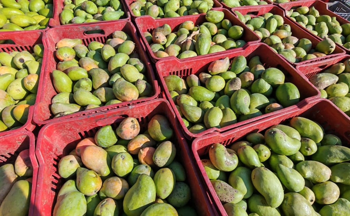 Mango