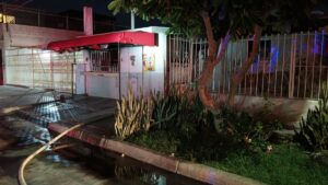 mueren perritos en incendio en la colonia san francisco en los mochis sinaloa
