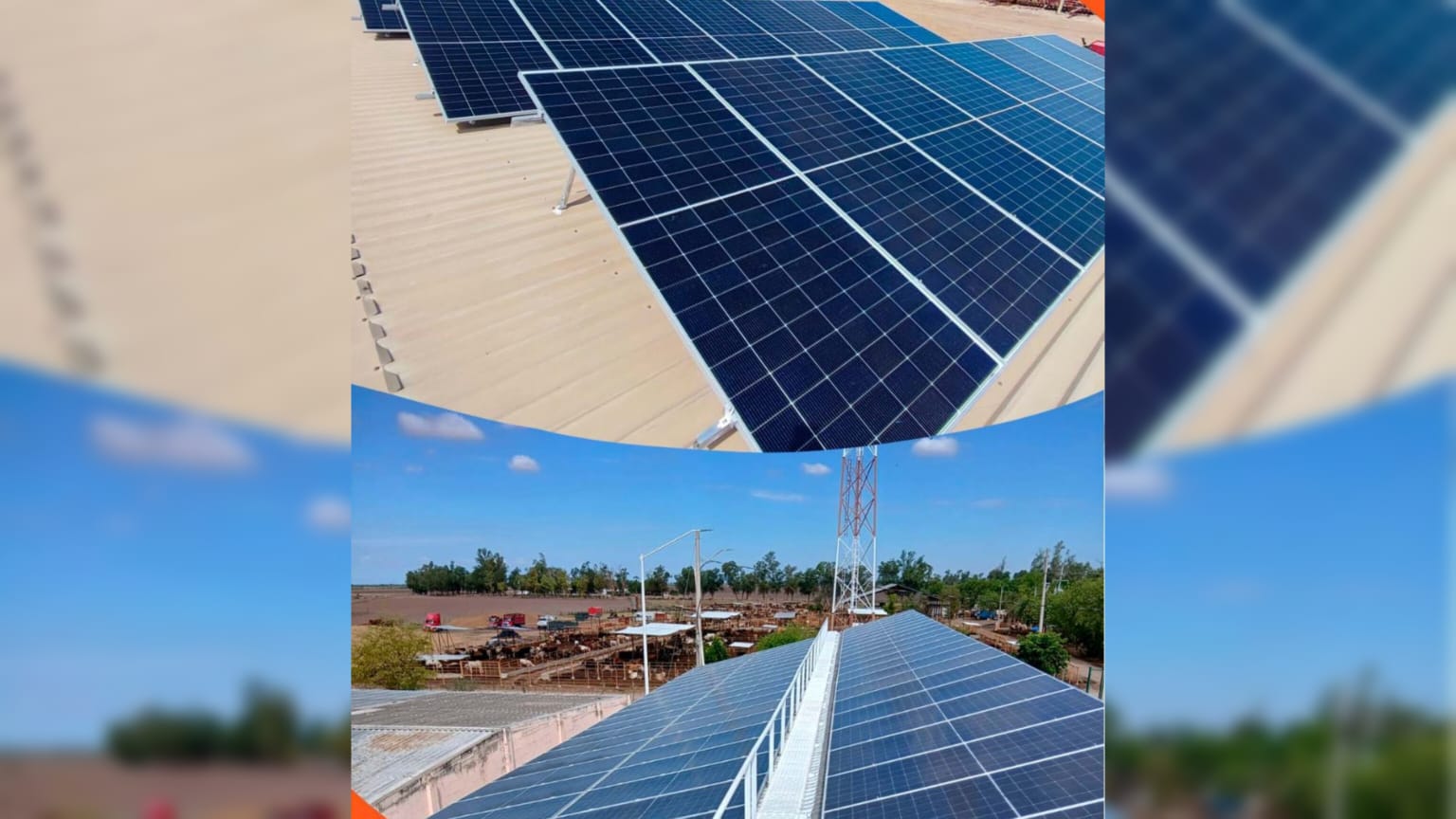 Paneles solares