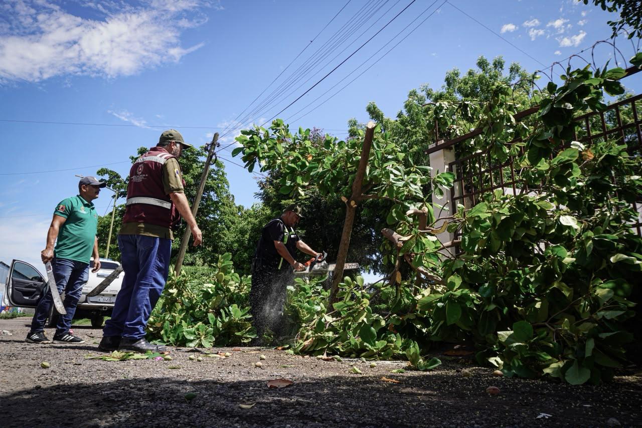 Atiende Ayuntamiento a 92 viviendas afectadas por las lluvias en Culiacán