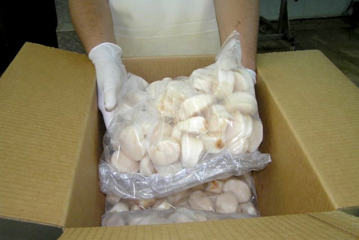 Callo de hacha