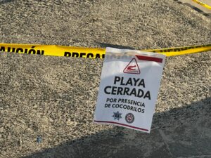 Playa cerrada en Mazatlán por presencia de cocodrilos