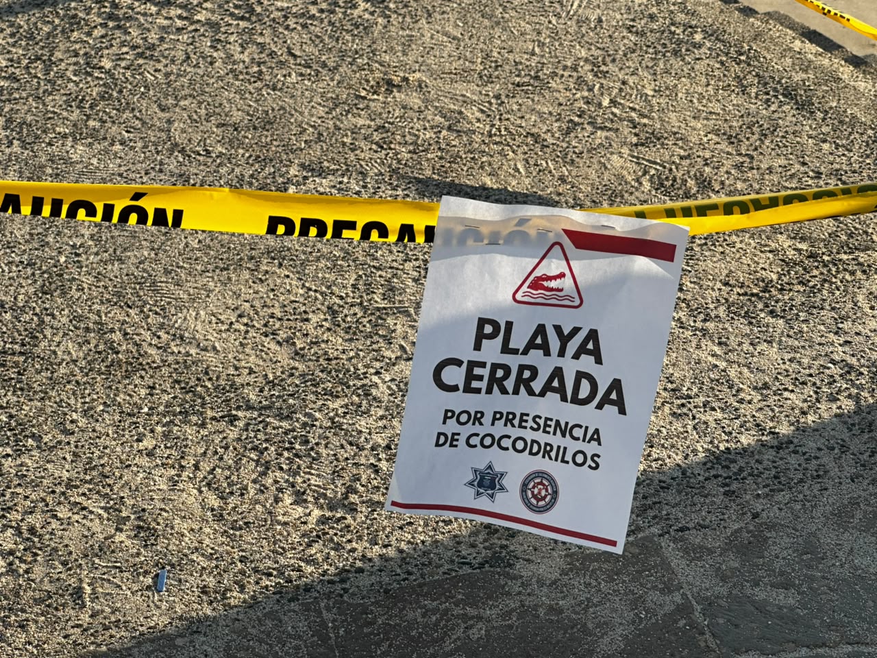 Playa cerrada en Mazatlán por presencia de cocodrilos