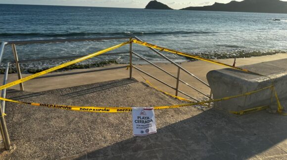 Cocodrilo sigue suelto y playas de Mazatlán, Sinaloa suman dos días cerradas