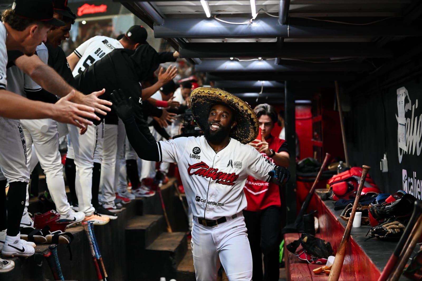 Playoffs en la LMB