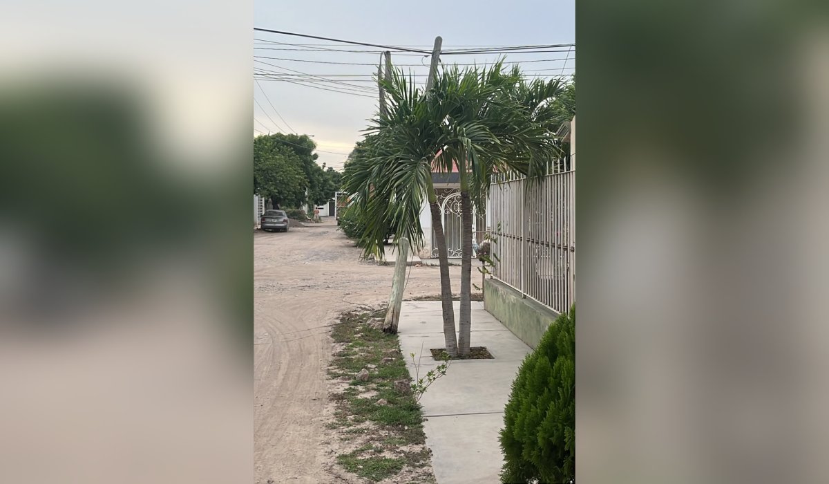 Poste a punto de caer en Guasave